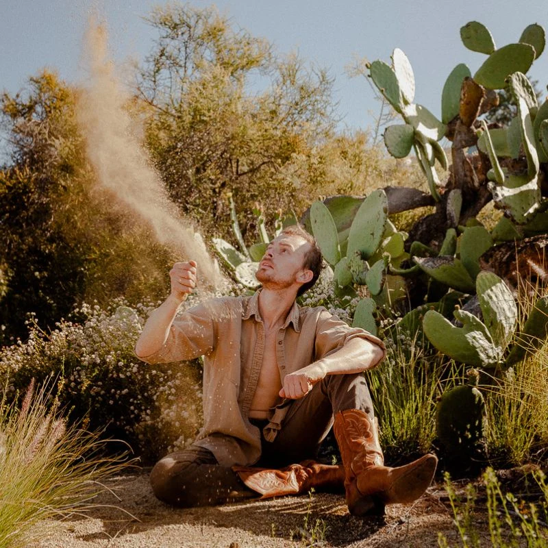 Lex (TÂCHES) sitting among cacti in the sunshine